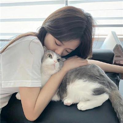 小锅盖当官
